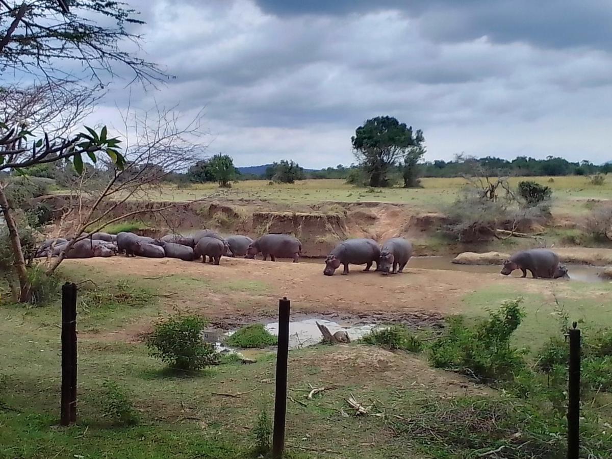 Mara River Lodge Aitong Dış mekan fotoğraf
