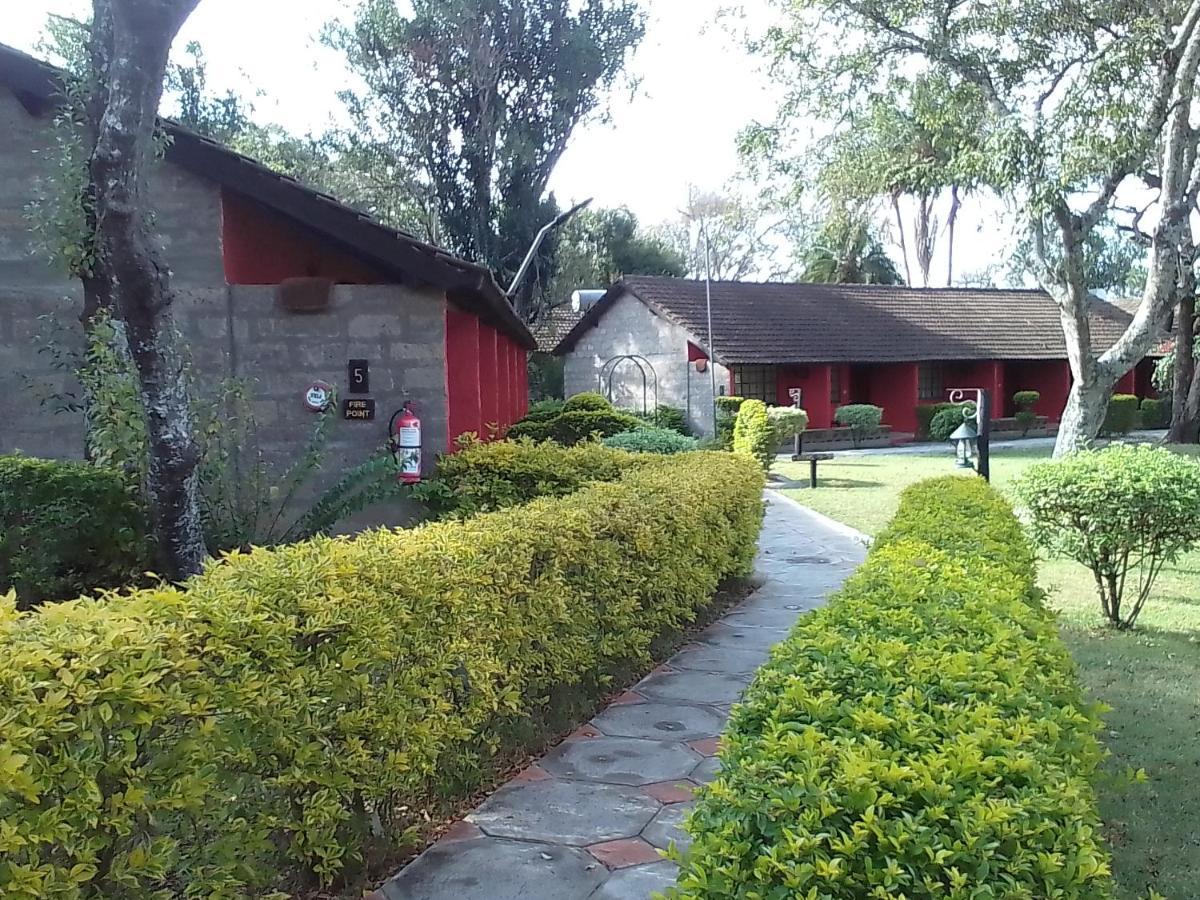 Mara River Lodge Aitong Dış mekan fotoğraf