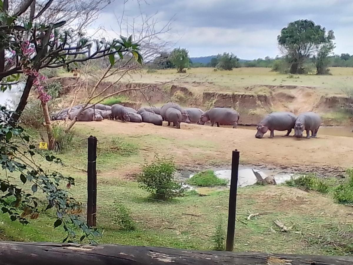 Mara River Lodge Aitong Dış mekan fotoğraf