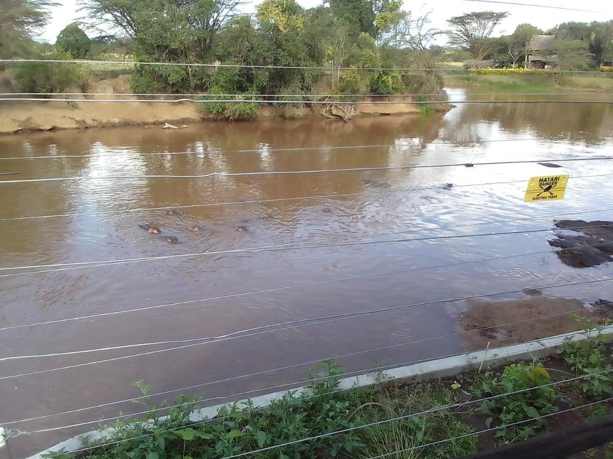 Mara River Lodge Aitong Dış mekan fotoğraf