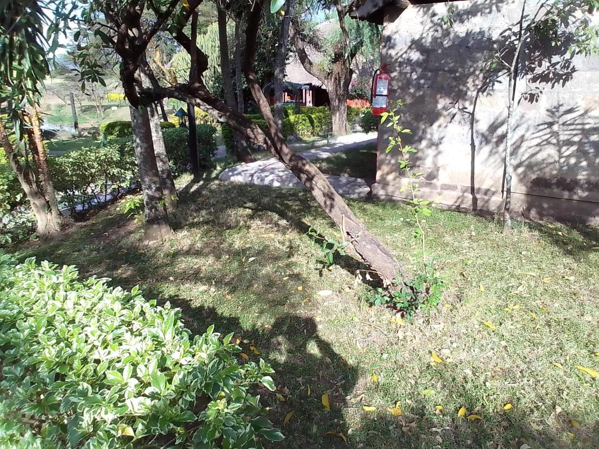Mara River Lodge Aitong Dış mekan fotoğraf
